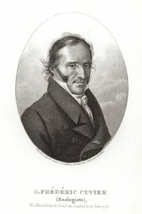 George Cuvier alkotó: French School