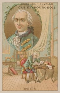 Georges-Louis Leclerc, Comte de Buffon, 18. századi francia tudós és író alkotó: French School