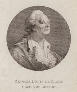 Georges-Louis Leclerc, Comte de Buffon, francia természettudós (metszet) alkotó: French School