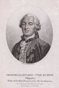 Georges-Louis Leclerc, Comte de Buffon, francia tudós és író (metszet) alkotó: French School