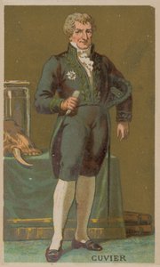 Georges Cuvier francia természettudós és zoológus (1769-1832) alkotó: French School