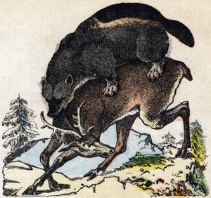 Falánkság. Metszet: „Alphabet des animaux sauvages””. 9. sorozat. Epinal, Pellerin, nyomdász-kiadó képei, 1870 körül. Metszetek fára, stencilezett. 16 oldal. Mérete: 20 x 15 cm. Magángyűjtemény alkotó: French School