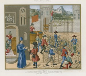 Szőlőtermesztés és borkészítés alkotó: French School