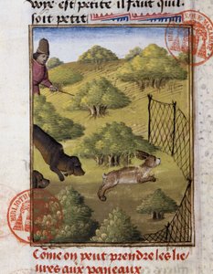 Nyúlvadászat – Gaston Phoebus, Foix grófja, Béarn ura „” vadászkönyvében” alkotó: French School
