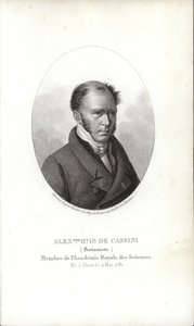 Henry Cassini alkotó: French School