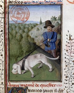 Lángoló pórázon tartott vadászkutya – Gaston Phoebus, Foix grófja, Béarn lordja, a „Vadászat könyvében”” alkotó: French School