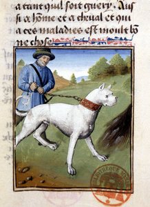 Pórázon tartott vadászkutya – Gaston Phoebus, Foix grófja, Béarn ura „Vadászat könyvében”” alkotó: French School