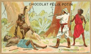 Orangután vadászat (chromolitho) alkotó: French School