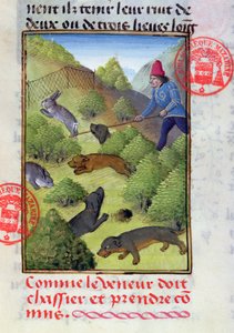 Nyulak vadászata kutyákkal és hálókkal, Gaston Phebus Livre de la Chasse-jából, 15. század eleje alkotó: French School