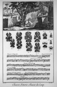 Vadászat a farkasra (a farkasok elfogásának különböző módjai vagy csapdái) - Denis Diderot (1713) "" The Great Encyclopedia, ou Dictionnaire Raisonne des Sciences, des Arts et des Metiers" -1784) és alkotó: French School