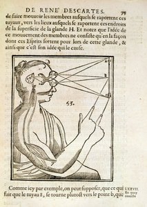 Illusztráció a De Homine Figurisból, Rene Descartes (1596-1650) Hágában, 1662 alkotó: French School