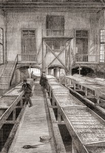 Egy 19. századi halgazdaság belseje a franciaországi Huningue-ben, a Les Merveilles de la Science-ből, 1870 körül megjelent (metszet) alkotó: French School