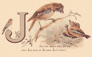 J: A fiatal Jays Pretty játékosok és boldog Jolily! alkotó: French School