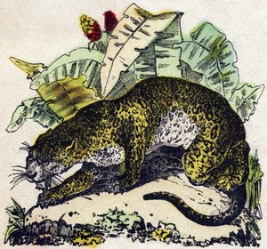 Jaguár. Metszet: „Alphabet des animaux sauvages””. 9. sorozat. Epinal, Pellerin, nyomdász-kiadó képei, 1870 körül. Metszetek fára, stencilezett. 16 oldal. Mérete: 20 x 15 cm. Magángyűjtemény alkotó: French School