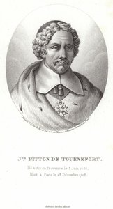 Joseph Pitton de Tournefort alkotó: French School