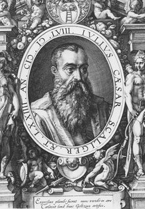Julius Caesar Scaliger (metszet) alkotó: French School