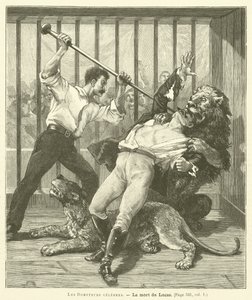 A Tamer Lucas alkotó: French School