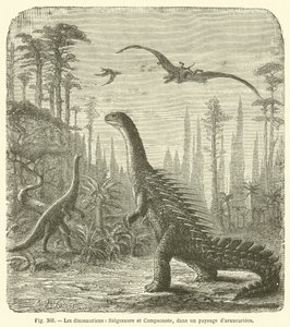 A dinoszauruszok, a Stegosaurus és a Compsonote, Araucariae táján (metszet) alkotó: French School