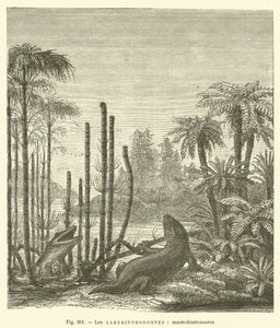 Les labyrinthodontes, mastodontosaures (metszet) alkotó: French School