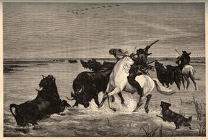 A camargue ökrei (szarvasmarhafajta) a vayson festménye után - vésés „” PATRIE” - vésés „” PATILE”” - LEÍRÁS PINTUREQUIRESSE DE LA FRANCE 6 KÖTETÉSBEN LUCIEN HUARD - 19. század vége alkotó: French School