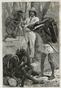 Les porters (caucheros), Darienben (Kelet-Panama régiója), metszet D.Maillart rajza alapján, A. Reclus hajóhadnagy, 1876-tól 1878-ig: Kutatás Panama és Darien földszorosán című történetének illusztrálására. , megjelent a tour du mo alkotó: French School
