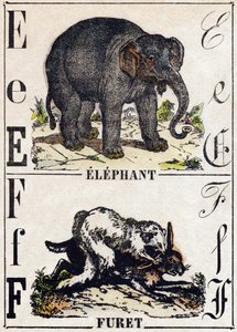 E betű Elefánt; F Görény. Metszet: „Alphabet des animaux sauvages””. 9. sorozat. Epinal, Pellerin, nyomdász-kiadó képei, 1870 körül. Metszetek fára, stencilezett. 16 oldal. Mérete: 20 x 15 cm. Magángyűjtemény alkotó: French School