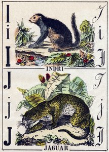 I. levél Indri (Lemurien); J Jaguár. Metszet: „Alphabet des animaux sauvages””. 9. sorozat. Epinal, Pellerin, nyomdász-kiadó képei, 1870 körül. Metszetek fára, stencilezett. 16 oldal. Mérete: 20 x 15 cm. Magángyűjtemény alkotó: French School