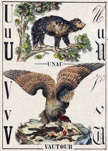 U betű Unau (lusta); V Vulture. Metszet: „Alphabet des animaux sauvages””. 9. sorozat. Epinal, Pellerin, nyomdász-kiadó képei, 1870 körül. Metszetek fára, stencilezett. 16 oldal. Mérete: 20 x 15 cm. Magángyűjtemény alkotó: French School