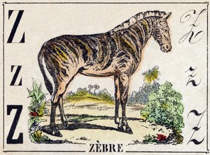 Z betű Zebra. Metszet „Vadállatok ábécéjébe”. 9. sorozat. Epinal, Pellerin, nyomdász-kiadó képei, 1870 körül. Metszetek fára, stencilezett. 16 oldal. Mérete: 20 x 15 cm. Magángyűjtemény alkotó: French School