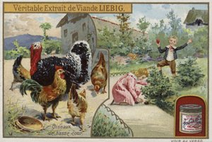 Liebig kártya baromfival alkotó: French School