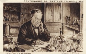 Louis Pasteur alkotó: French School