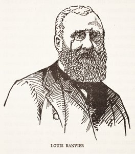 Louis Ranvier alkotó: French School