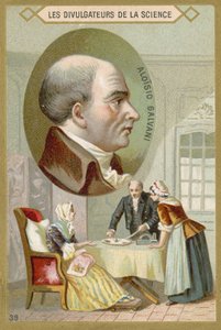 Luigi Galvani olasz orvos és fizikus alkotó: French School