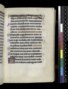 MS 300 f.75r, a francia Izabella zsoltárából és óráiból, Párizs, 1265–1270 körül (toll, tinta és tempera pergamenen) alkotó: French School