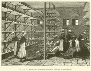 Magasin de perfectionnement du fromage de Camembert (engraving) alkotó: French School