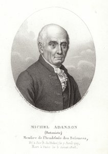 Michel Adanson alkotó: French School