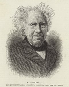 Michel Eugene Chevreul alkotó: French School