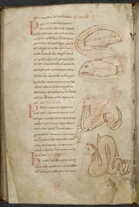 Különféle számítástechnikai és csillagászati munkák, Royal MS 13 A XI alkotó: French School