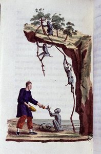 Teát arató majmok Kínában alkotó: French School