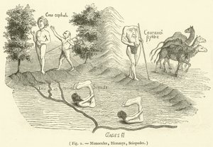 Monocules, Blemmys, Sciopodes (metszet) alkotó: French School