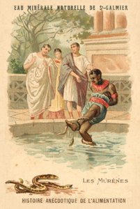 Muréna angolna (chromolitho) alkotó: French School