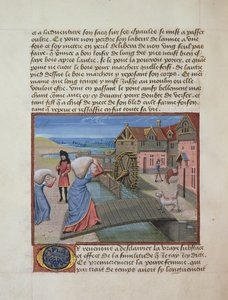 Ms 165 fol.48v A Watermill, Rene dAnjou instruction dun Jeune Prince, 1465-68 körül alkotó: French School