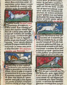 Ms 320 Fol.115r Sea Monsters, Thomas van Cantimpre (1201-72) „De Natura rerum” című művéből (vellum) alkotó: French School