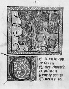 Ms Fr 1580 A róka, a farkas és a kutya, a Le Roman de Renartból alkotó: French School