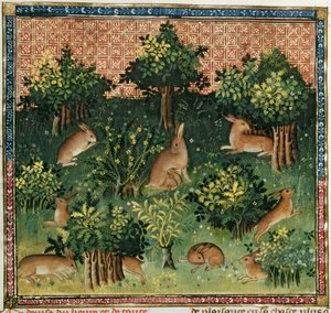 Ms Fr 616 fol.24v Nyulak az erdőben, a Livre de la Chasse-ból, Gaston Phebus de Foix (1331-91) alkotó: French School