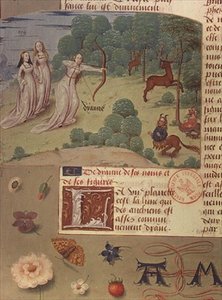 Ms Fr 9197 fol.140v Diana vadászat, Livre des Eschecs D