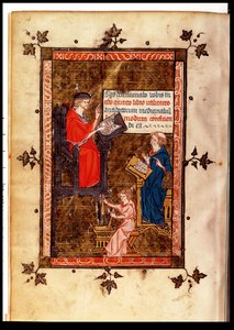 Ms. Lat. 14023 fol. 769 kontra Antidote-tanítás az orvostudomány kánonjából, Avicenna (Ibn Sina) (980-1037), fordította Gerard de Cremone (1114-87) 1320 körül alkotó: French School