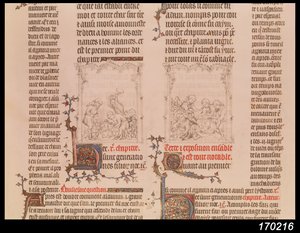 Noé a szőlőskertben és Noé részegsége, Jean Sy Bibliájából, 1355 körül alkotó: French School
