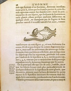 Optikai diagram, Rene Descartes (1596-1650) De Homine Figuris című művéből, Hágában, 1662 alkotó: French School