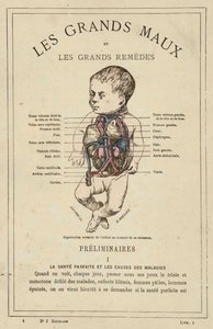 A gyermek normális szervezettsége a születéskor (színes litho) alkotó: French School
